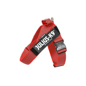 Julius arnes cinta IDC 1 rojo