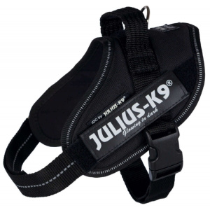 Julius Arnés IDC Mini Negro